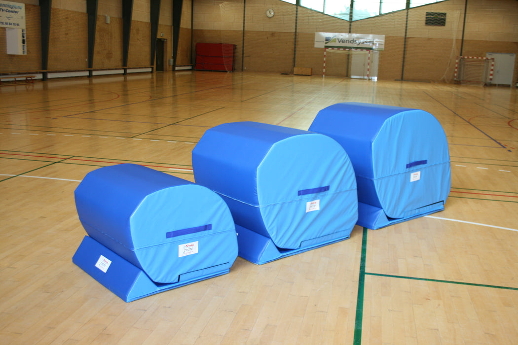 Multiplint lille